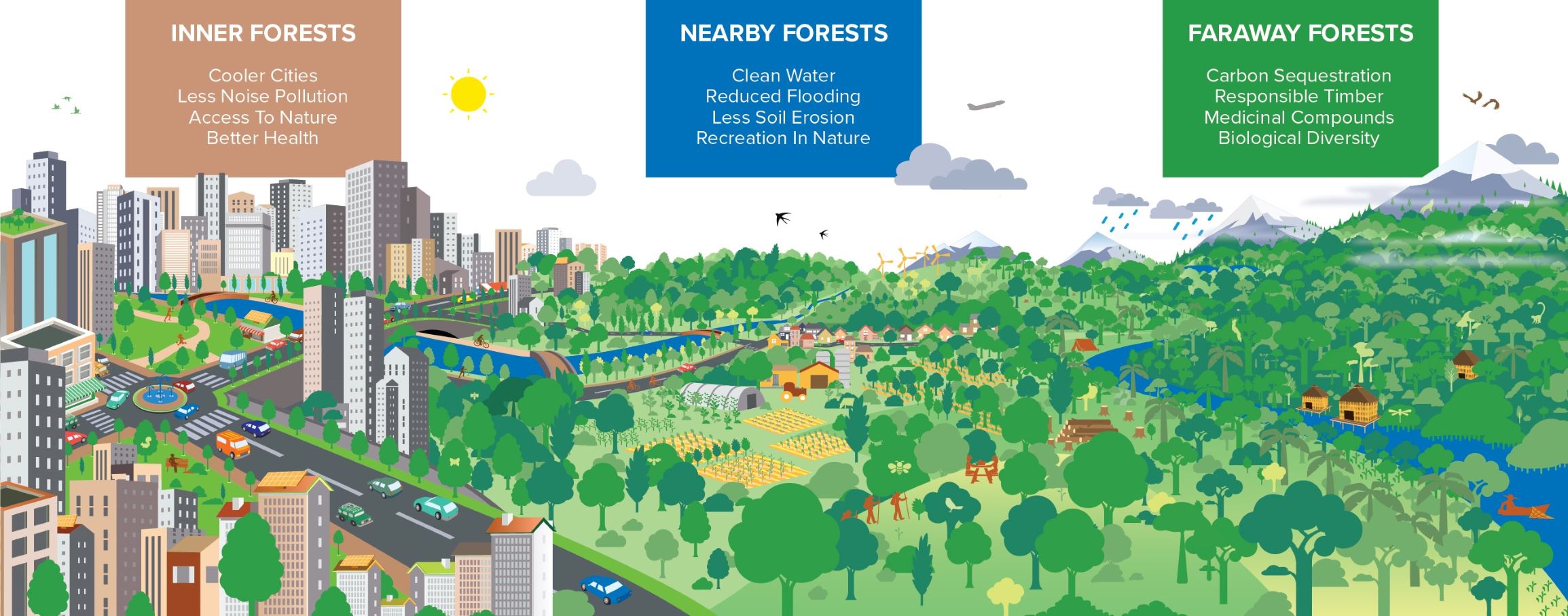 Cities4forests' three forest categories: Inner, Nearby and Faraway